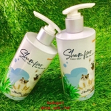 SỮA TẮM THẢO MỘC CHO CHÓ MÈO VIME SHAMPOO - SP000626