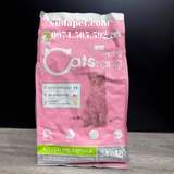 Thức ăn cho mèo con CATSRANG - SP005270