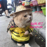 ÁO COSPLAY HOÀNG THƯỢNG CHO CHÓ MÈO - SP007329