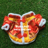 ÁO TẾT CHO CHÓ MÈO KIỂU SƯỜN XÁM ĐỎ VÀNG CHO CHÓ MÈO XUDAPET - SP000284