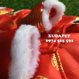 ÁO TẾT CHO CHÓ MÈO KIỂU SƯỜN XÁM ĐỎ XANH CHO CHÓ MÈO XUDAPET - SP000279