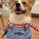 ÁO COSPLAY CHUCKY CHO CHÓ MÈO - SP007323