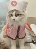 ÁO COSPLAY Y TÁ CHO CHÓ MÈO - SP007315