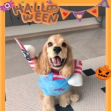 ÁO COSPLAY CHUCKY CHO CHÓ MÈO - SP007323