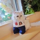 ÁO COSPLAY THỦY THỦ CHO CHÓ MÈO - SP007341