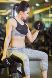 Áo Zipper Sport