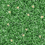 Gạch Prime 50x50cm 02679
