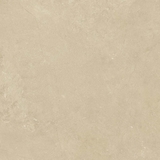 Gạch Prime 50x50cm 02937