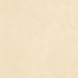 Gạch Prime 100x100cm 21312