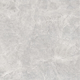 Gạch Prime 100x100cm 21E00