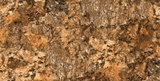 Gạch Prime 60x120cm 27633