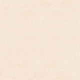 Gạch Prime 80x80cm 27702