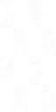 Gạch Prime 30x60cm 03E57