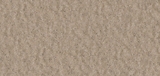Gạch Prime 10x21cm 26E02