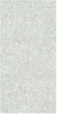 Gạch Đồng Tâm 40x80 THANGLONG003-FP
