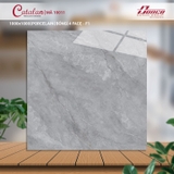 Gạch Catalan 100x100cm 10011