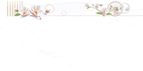 Gạch Prime 40x80cm 08536
