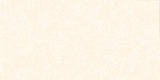 Gạch Prime 50x100cm 29057