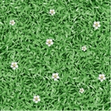 Gạch Prime 50x50cm 01526