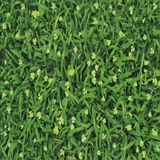 Gạch lát Mikado 40x40 VC4505