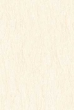 Gạch ốp tường Prime 30x45 9463