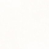 Gạch lát nền Prime 60x6011630