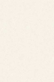 Gạch ốp tường Prime 30x45 09527