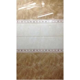 Gạch ốp vệ sinh 30x60 63181
