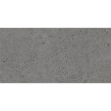 Gạch Ốp Lát Malaysia 30x60 SSR309D