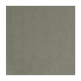 Gạch Taicera 30×30 G38928ND