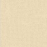 Gạch Granite lát sàn 60×60 – MN60001