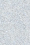 Gạch ốp lát Prime 30x45 7464