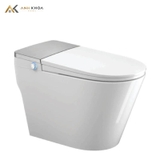 Bồn cầu thông minh Densta DS TA – 960 DF