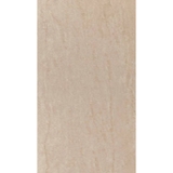 Gạch Ceramic ốp tường 30×60 – WG39007