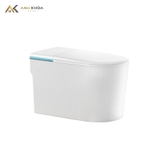 Bồn cầu thông minh D&K ST6903E