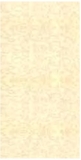 Gạch Đồng Tâm 30x60 NUHOANG002