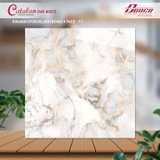 GẠCH LÁT NỀN CATALAN 80X80 MÃ 80073 MẪU MỚI