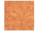Gạch Viglacera 40x40 V410