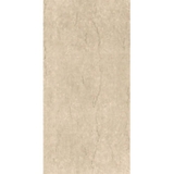 Gạch ốp vệ sinh 30×60 F3602