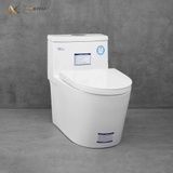 Bồn cầu 1 khối Densta DS 8103 KK