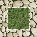 Gạch lát sân vườn 40x40 VC4504