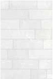 Gạch Đồng Tâm 30x45 HOADA002