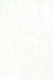 Gạch Đồng Tâm 30x45 PHALE002