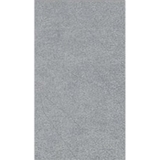 Gạch Taicera 30×60 – G63918