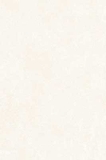 Gạch ốp tường Prime 30x45  09528