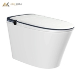Bồn cầu thông minh Hegii R11