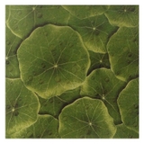 Gạch Đồng Tâm 40×40 – 4040LASEN001