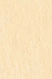 Gạch ốp tường Prime 30x45 9462
