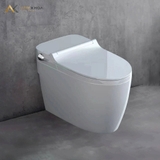 Bồn cầu âm tường Densta DS 503 KK