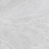 CỬU LONG 6602